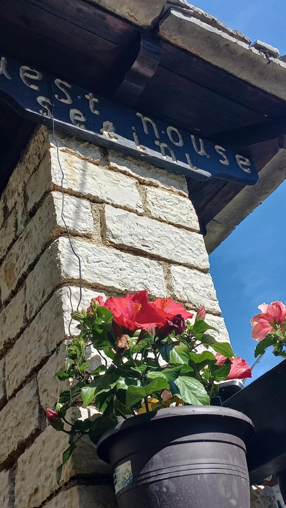 Guesthouse Selini فيستا المظهر الخارجي الصورة