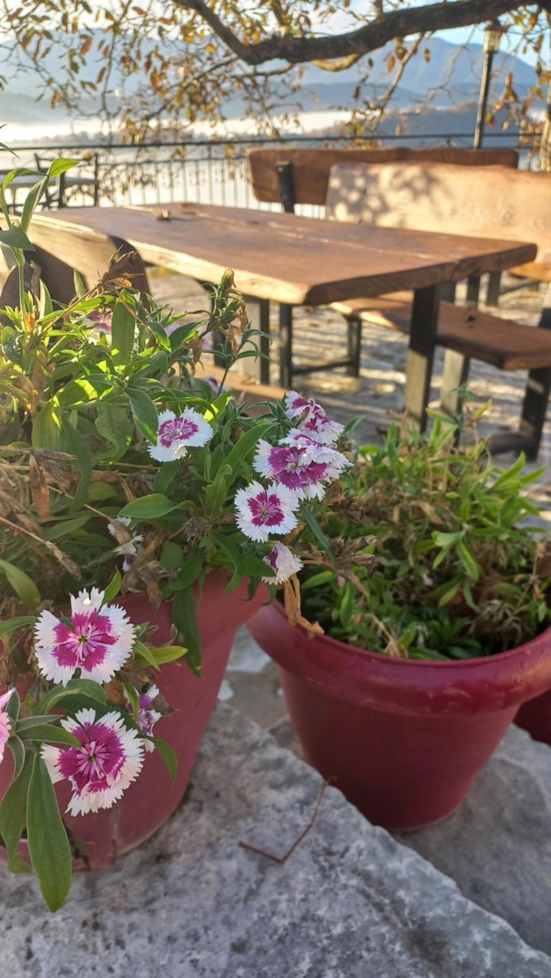 Guesthouse Selini فيستا المظهر الخارجي الصورة